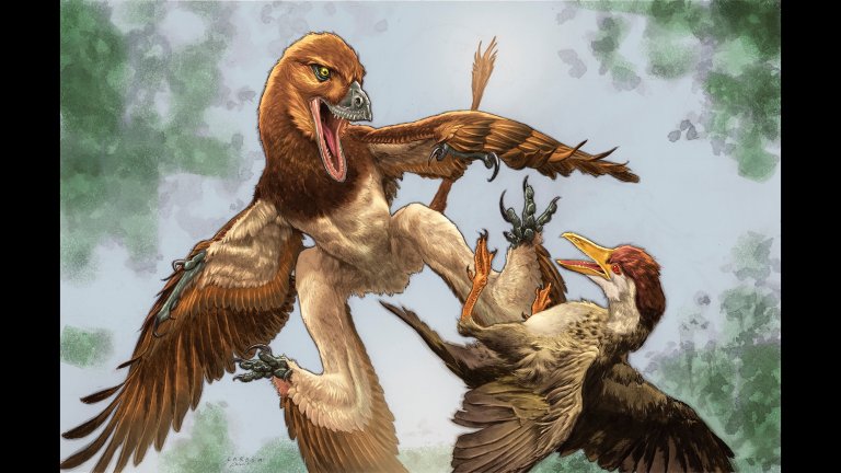The new microraptor dinosaur Jian changmaensis (left) attacks the early bird Gansus yumenensis (right) in what is now the Changma Basin of northwestern China approximately 120 million years ago. Credits: illustration by Lewis LaRosa, colorized by Jão Canola.