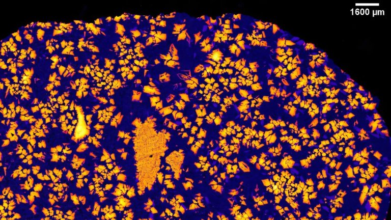 An X-ray image of NWA 12774. Credit: Aaron Bell/CU Boulder
