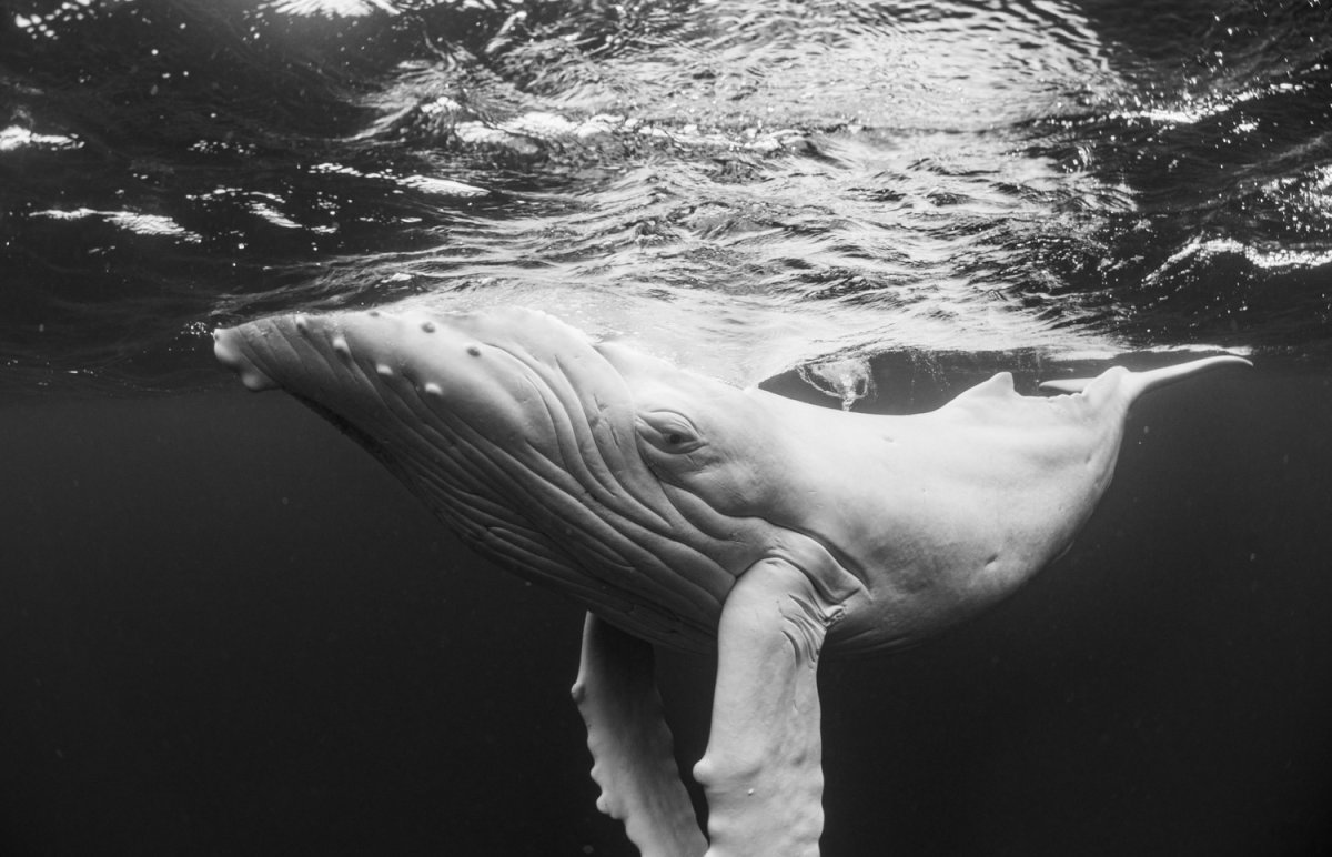 11 captivating images from the Exposure One Photography Awards 11 captivating images from the Exposure One Photography Awards