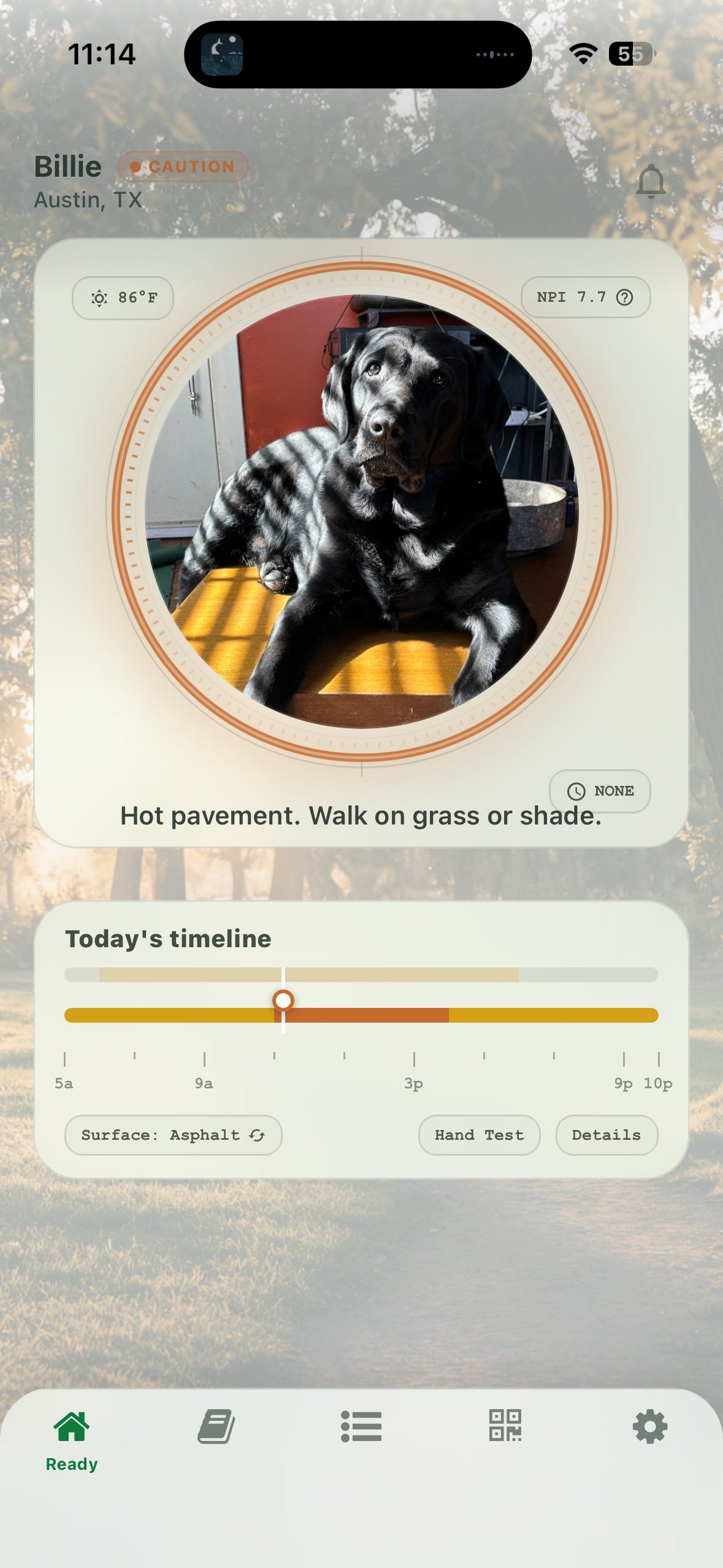 a screen shot of an iphone app with the picture of a dog that reads "hot pavement. walk on grass or shade"