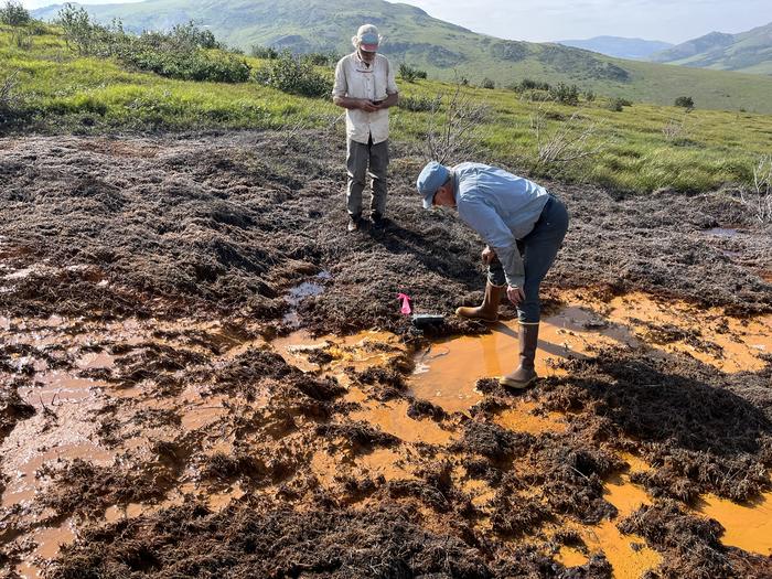 scientists sampling orange river water