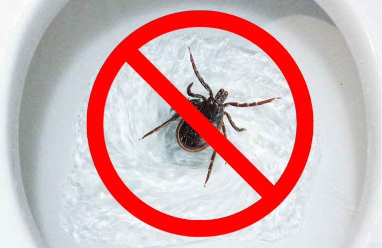 a tick in a toilet with a red circle with a line through it