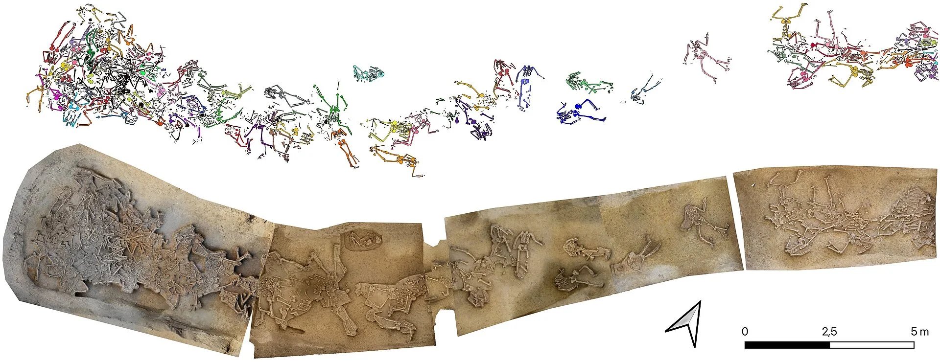 a diagram showing a ditch with several human skeletons