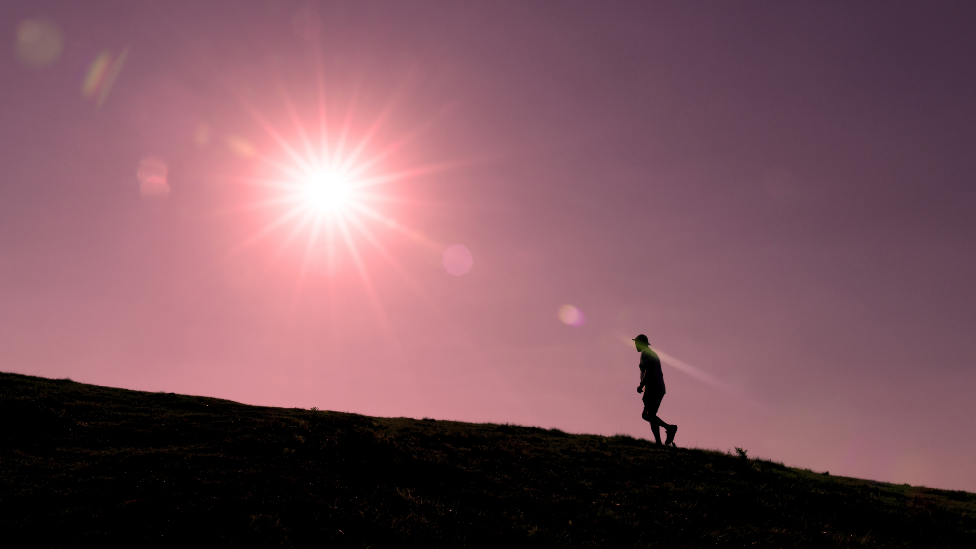 popsci.com - Margherita Bassi - Arizona students design app that calculates least-sweaty walking route