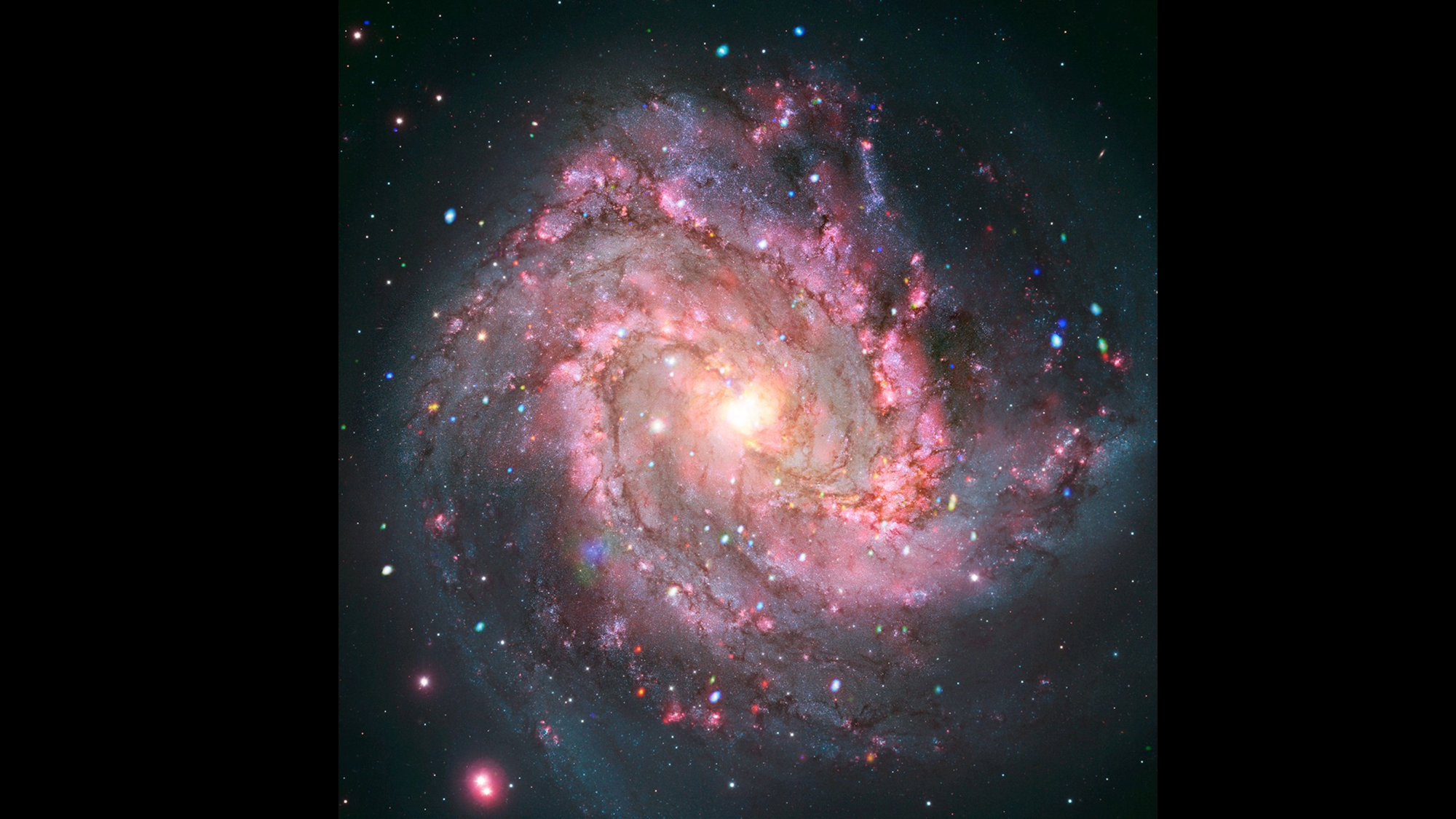 In the composite image, Messier 83, or M83, is shown to have a spiral structure, viewed straight on. At the center is a brilliant white and yellow pool of light. From that light, spiral arms of hot pink cloud corkscrew out in wide, sweeping arches. The galaxy is covered in a faint grey haze, and flecked with red, green, blue, white, and yellow dots.