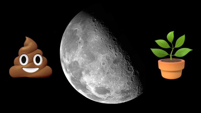 a moon, poop emoji, plant emoji