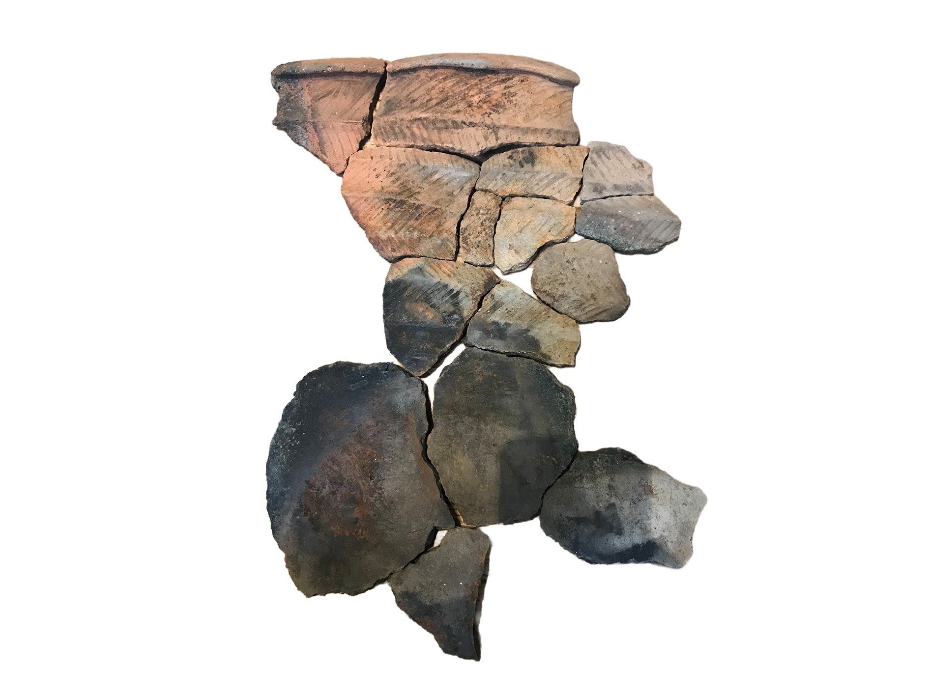 brown and black pottery fragments