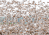 a huge flock of birds