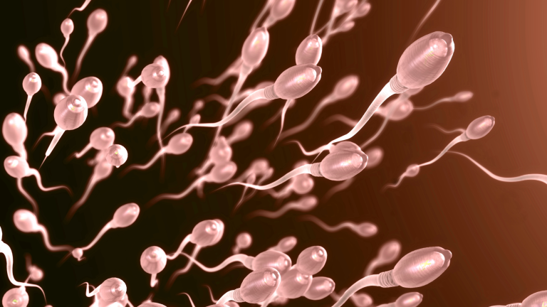 a 3D illustration of sperm cells, with white rounds heads and long, wavy tails