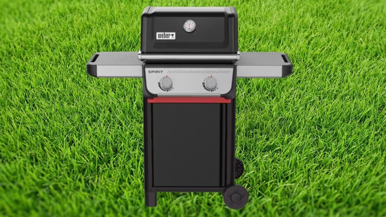 Weber Spirit® E-210 Gas Grill