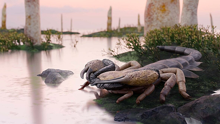 an illustration of a large scorpion standing on a marsh
