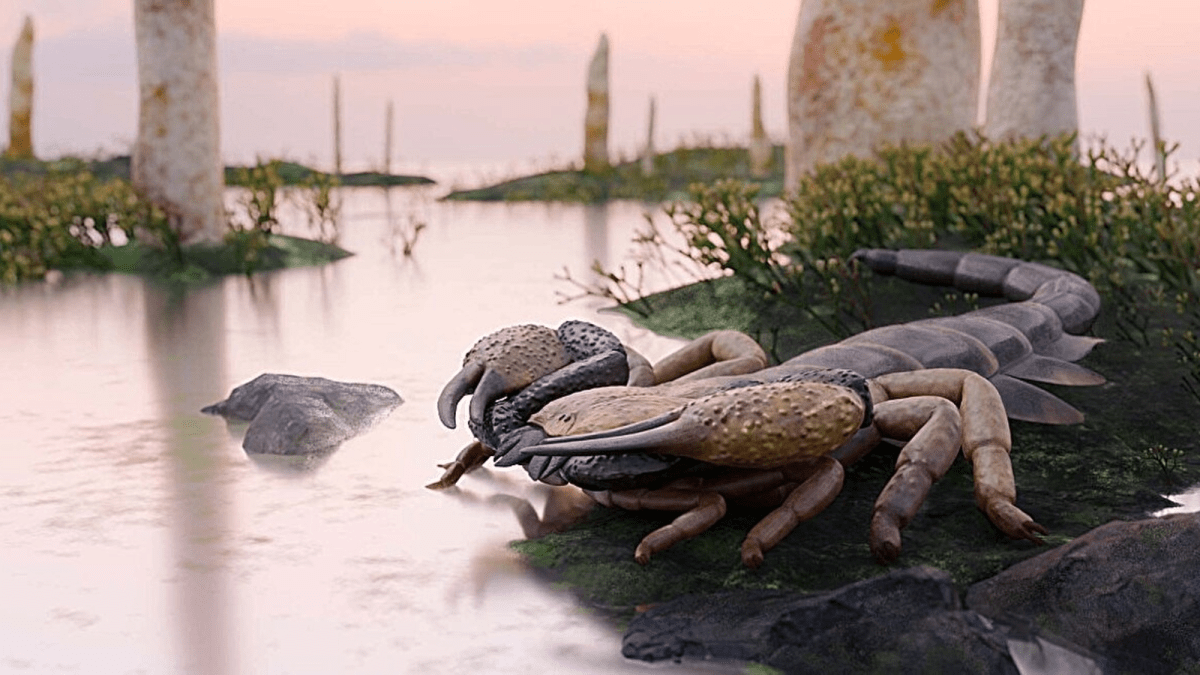 World’s biggest scorpions were the size of baseball bats