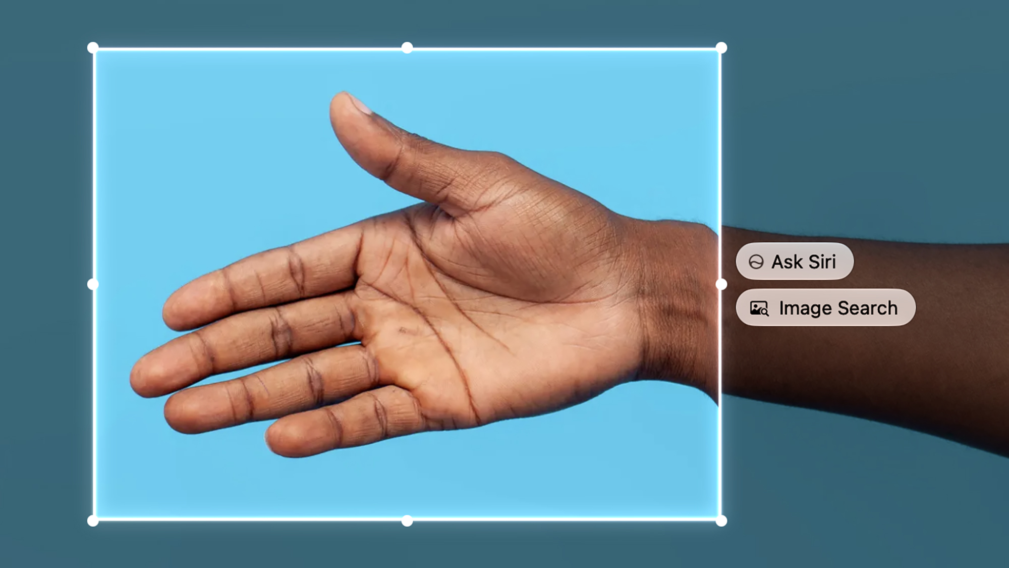 screenshot of ask siri about images