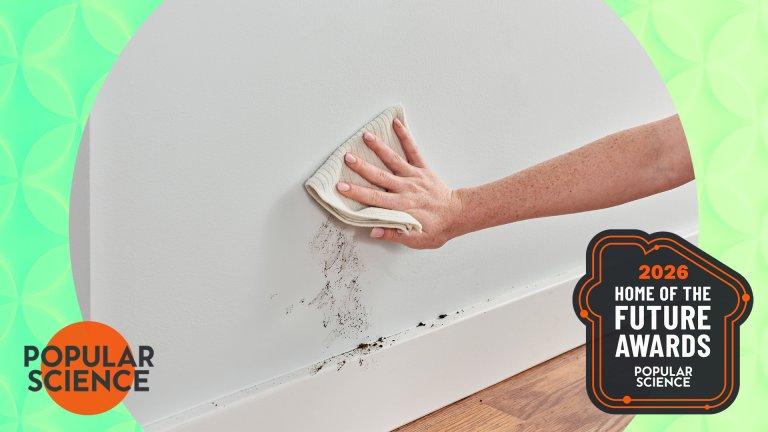 BEHR Copper Force Interior Paint