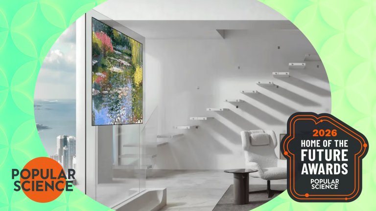 LG OLED evo W6 Wallpaper TV