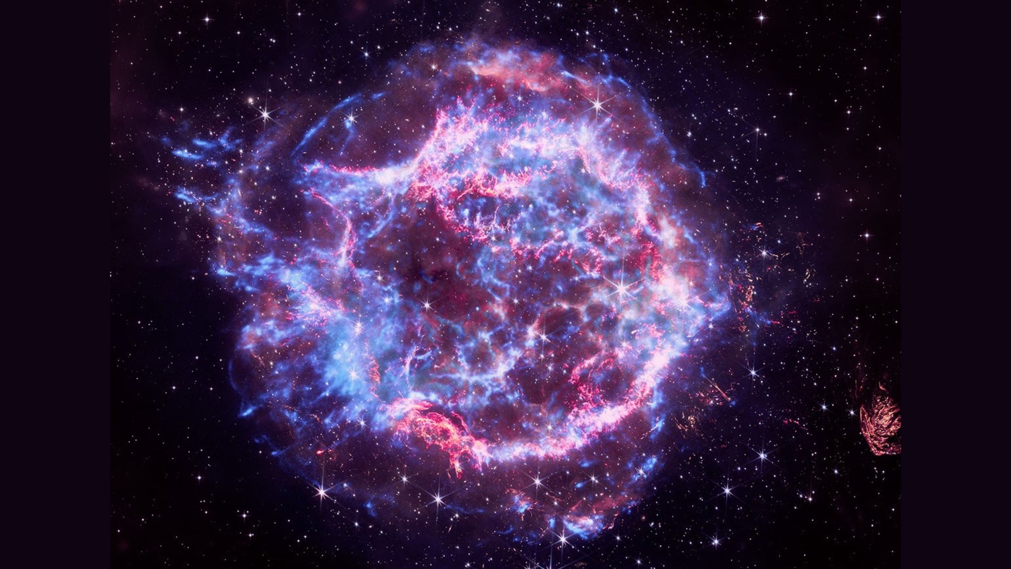 A visualization of the supernova Cassiopeia A using data from the Chandra X-ray Observatory and the James Webb Space Telescope. The cloudy blast-wave of the supernova remnant is ring-like in shape, streaked with veins of iron, calcium, and oxygen. Here, presented in red, white, and blue, the remnant resembles an electrified donut, crackling with marbled veins of strawberry and blueberry icing.