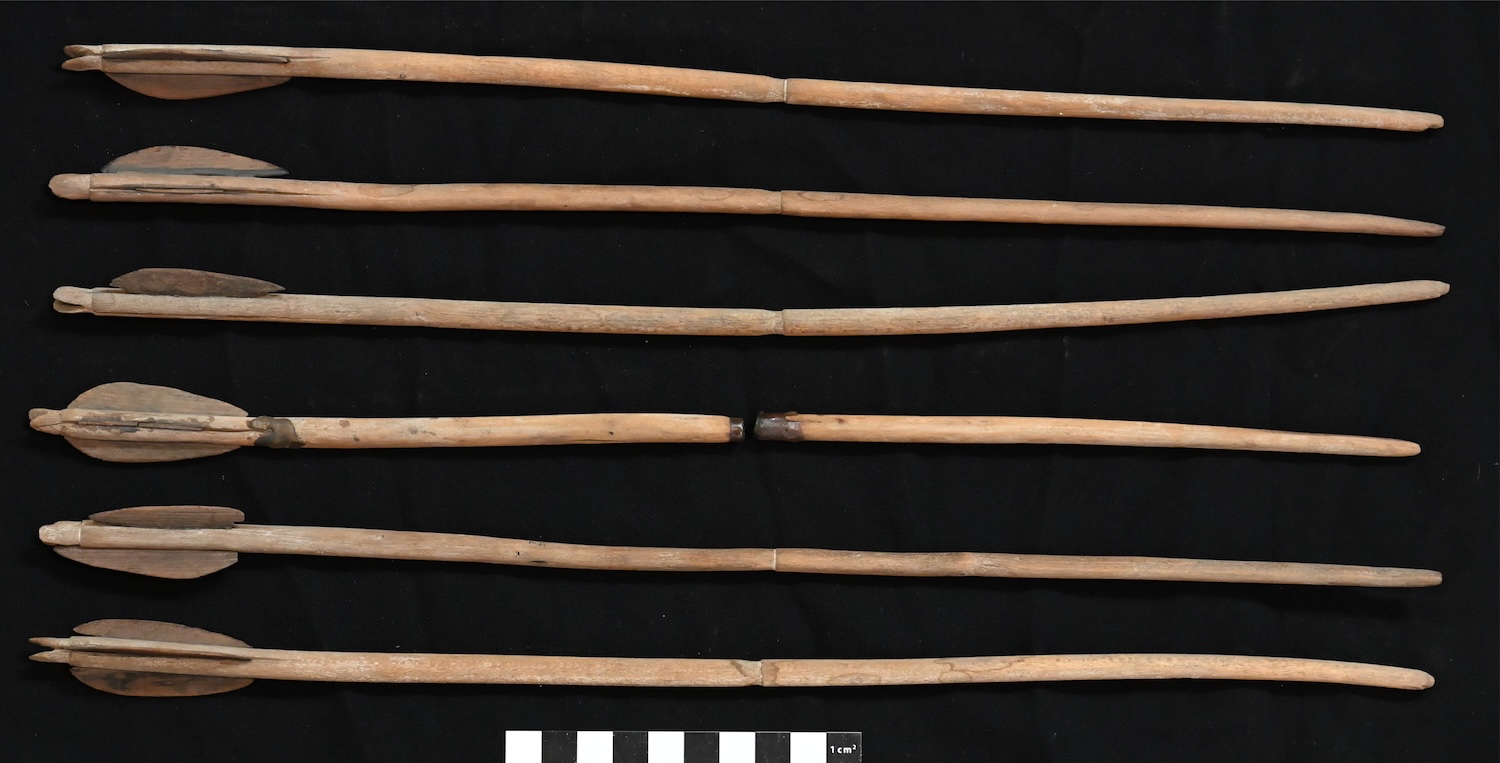 Five ancient Egyptian arrows discovered in a princess' burial chamber.