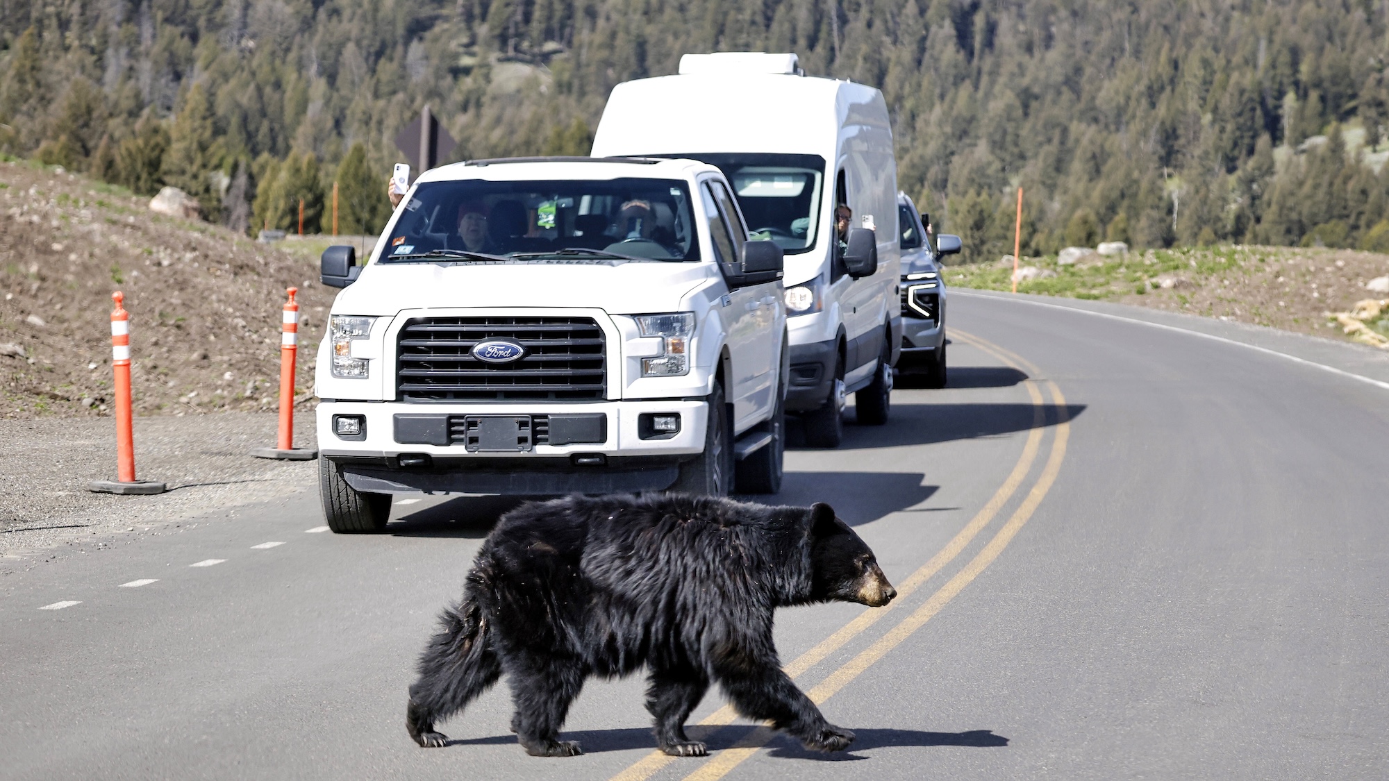 July is Yellowstone National Park’s deadliest month