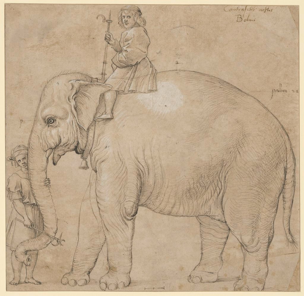 Illustration of a man riding an elephant from 1794.