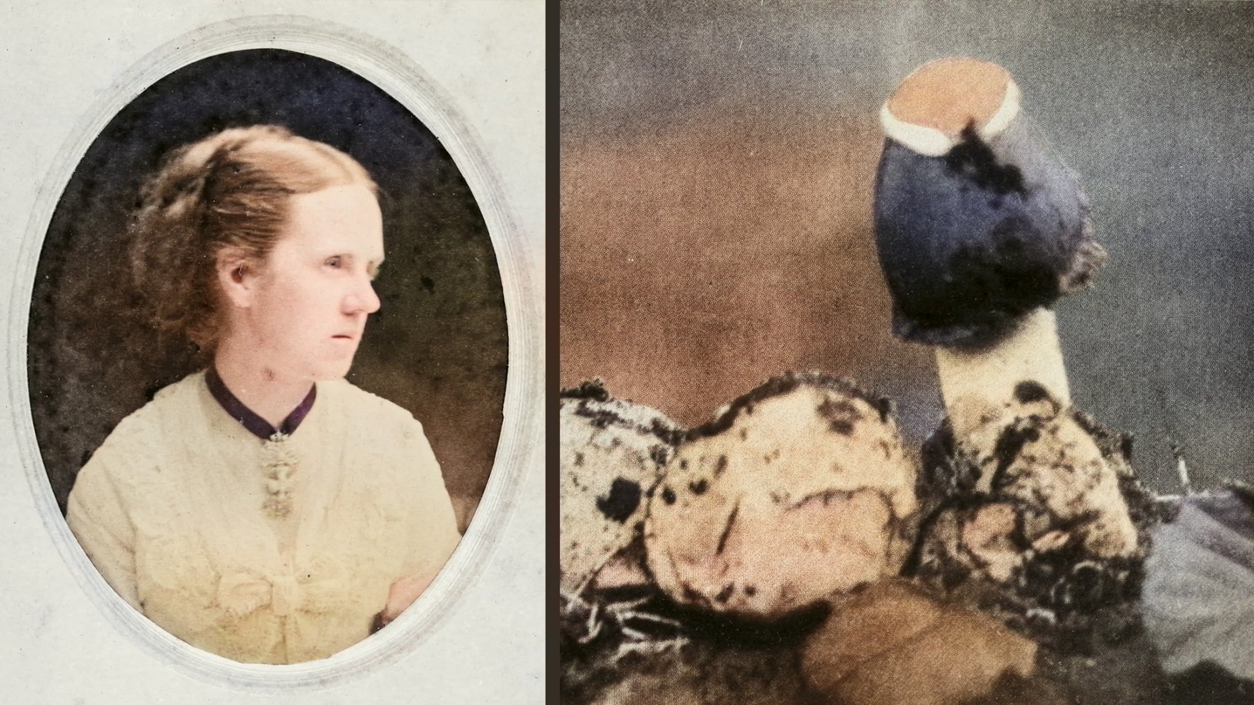 Two images side by side. On left, vintage photograph of a White woman from the late 1800s in an oval. On the right, a vintage photograph of a stinkhorn mushroom.