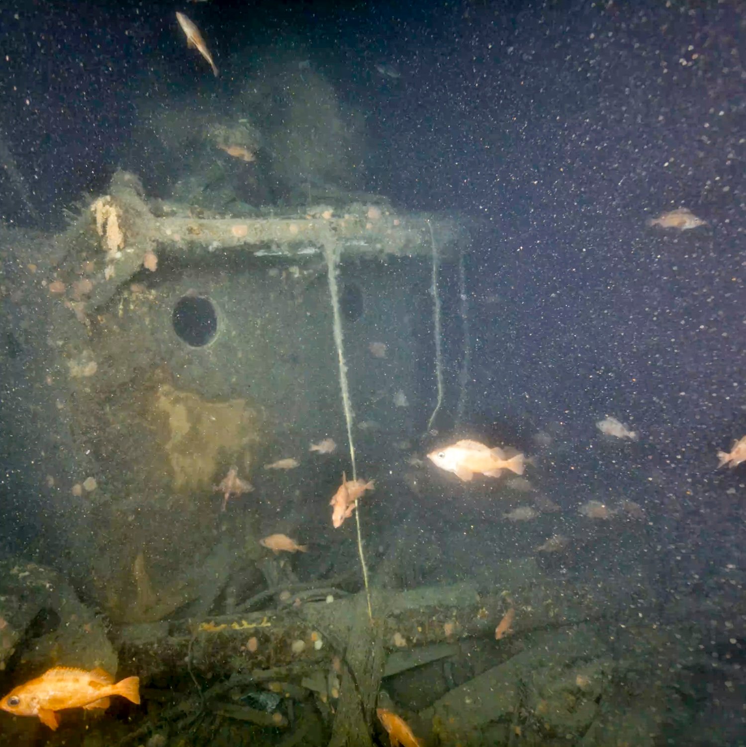 Hull and portholes of Quest shipwreck