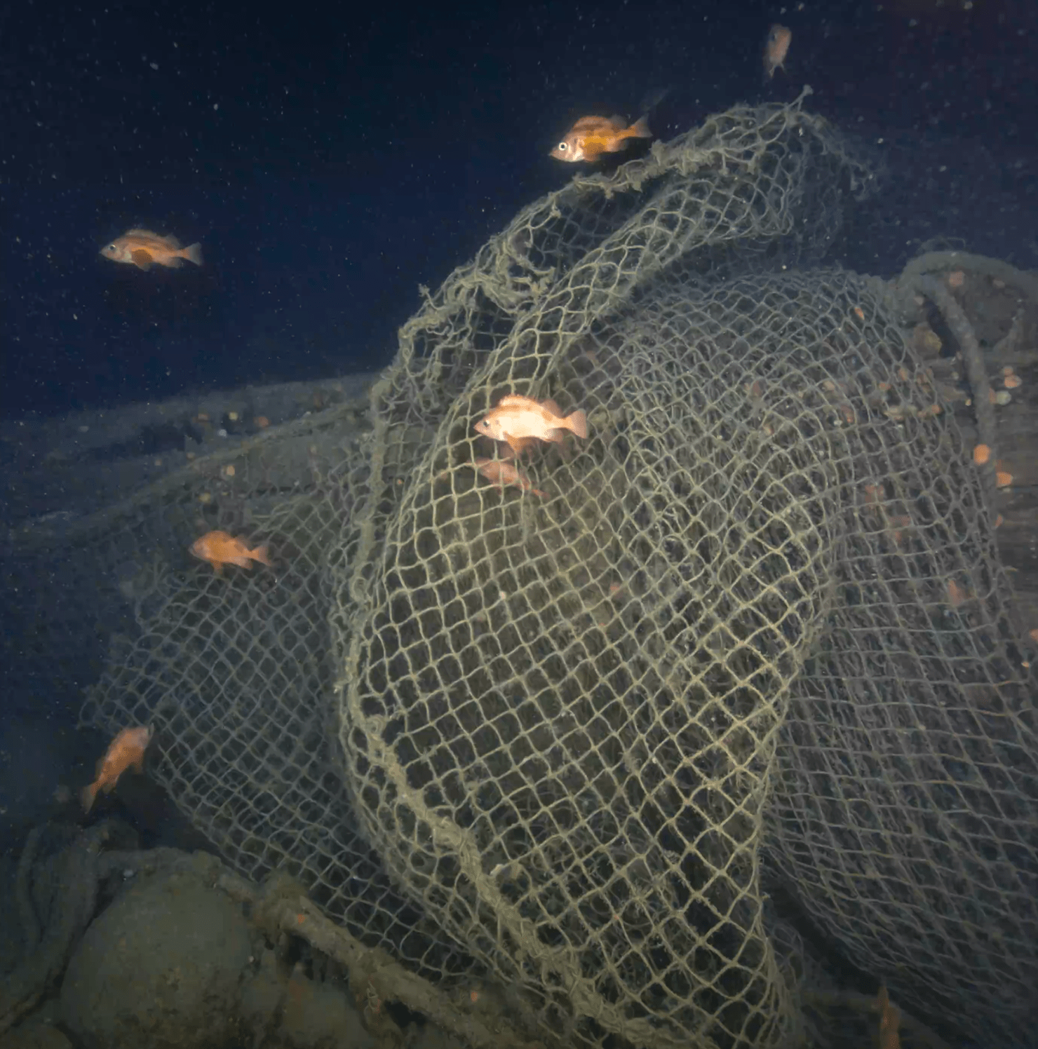 Fishing nets on Quest hull wreckage