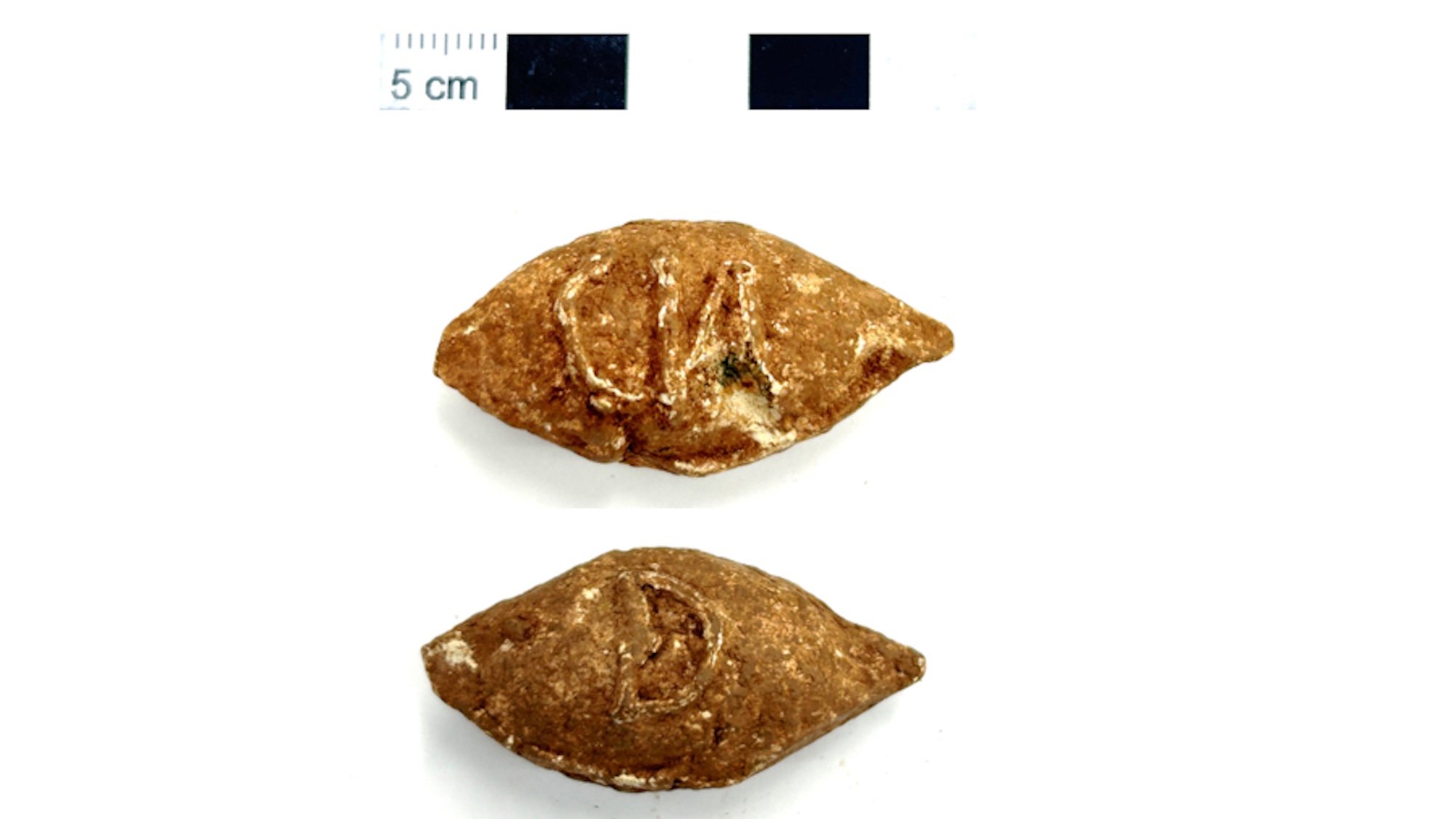 Two lead slingshot bullets inscribed with the initials CN and D with a ruler for size comparison