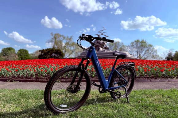 A Sapphire Blue Tenways Wayfarer commuter ebike in front of red tulips at the Lady Bird Johnson Memorial