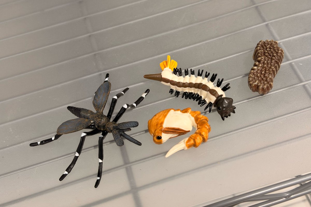 I visited Thermacell's lab that breeds mosquitoes. It didn't suck.
