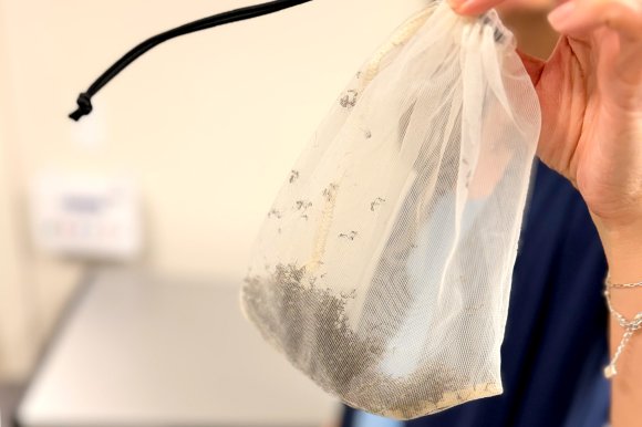 Dr. Rebecca Heinig holds up a bad of mosquitoes breed at the Thermacell Science & Research Center to test the effectiveness of spatial repellents