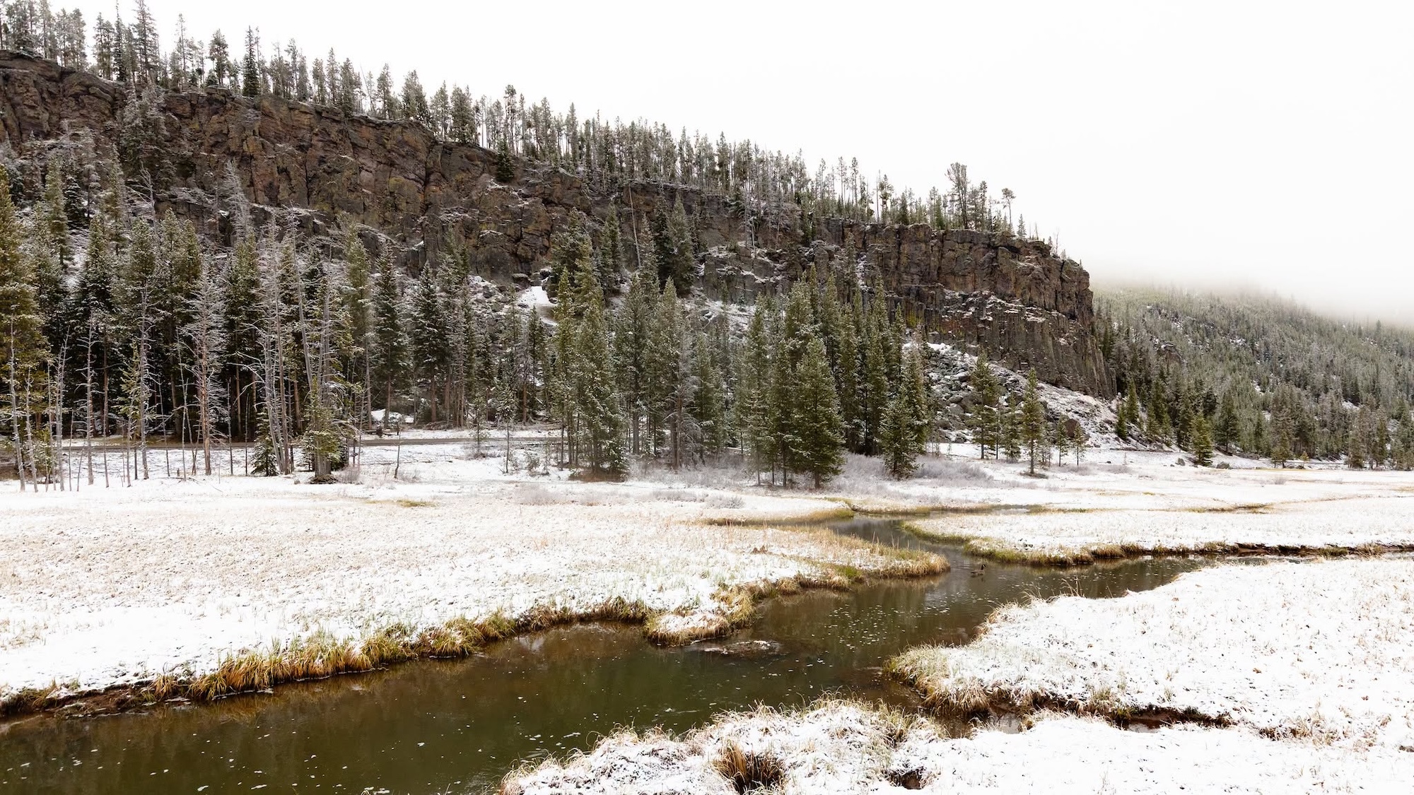 Photo of a stream and forest covered in thin layer of snow at Yellowstone in June
