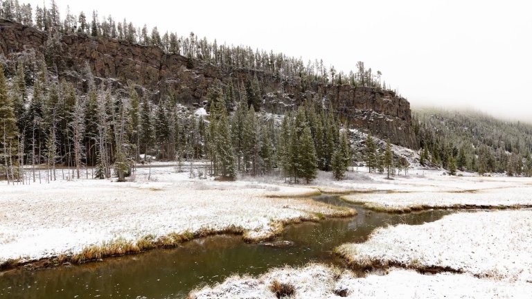 Photo of a stream and forest covered in thin layer of snow at Yellowstone in June