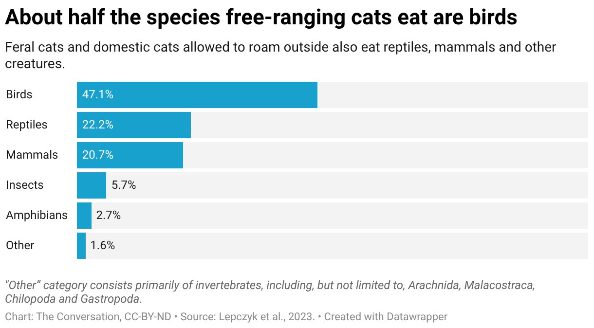 chart showing what cats eat