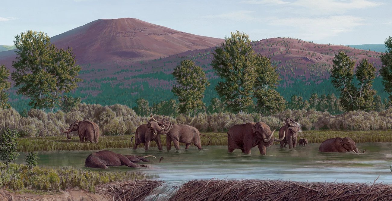 a painting showing elephant-like creatures called mastodons in prehistoric america