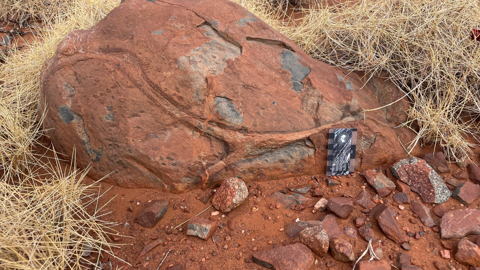An example of variolitic pillow lavas in the Whundo Group. The black spots are a feature known as varioles, which form in water-rich lavas.