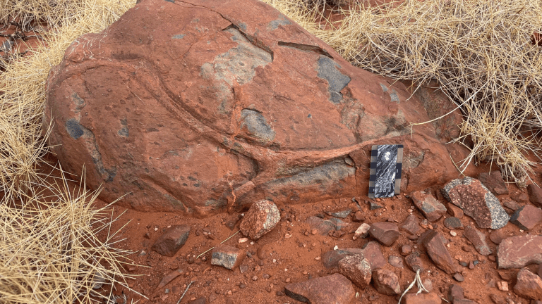 An example of variolitic pillow lavas in the Whundo Group. The black spots are a feature known as varioles, which form in water-rich lavas.