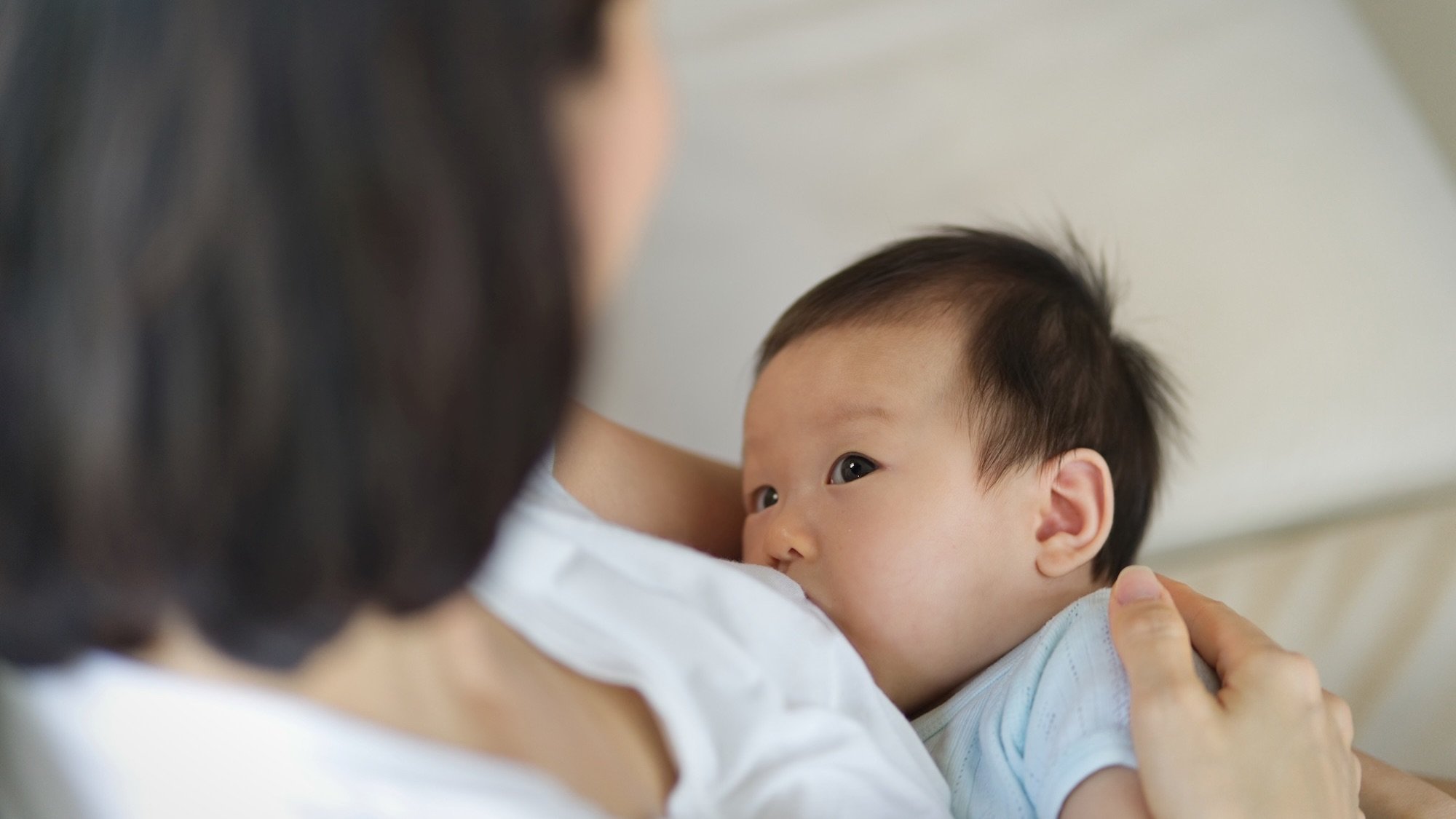 Young mother sitting and holding her newborn child while breastfeeding her child on sofa. She is looking at her baby with eyes contact.