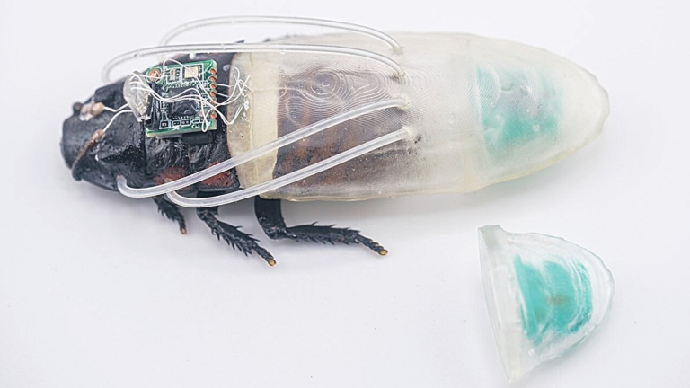 Close-up of the cyborg insect and the new diving suit, which has tubes that connect to the breathing holes of the insect and contains an oxygen generator at the back.