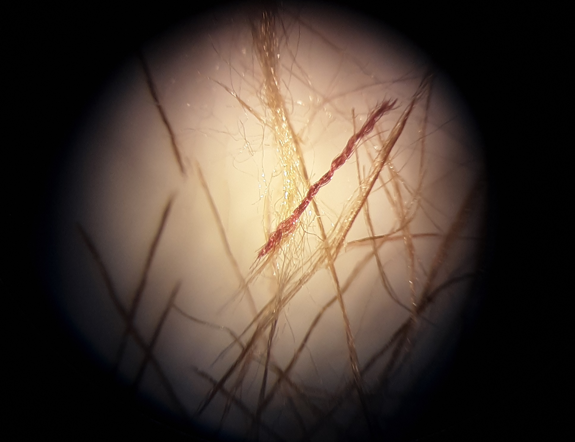 Close up of yellow and purple fibers.