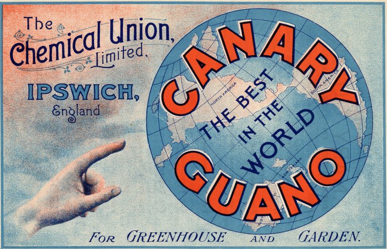 Canary Guano fertilizer, The Chemical Union Limited, Ipswich, c.1900. (Photo by History of Advertising Trust/Heritage Images/Getty Images)