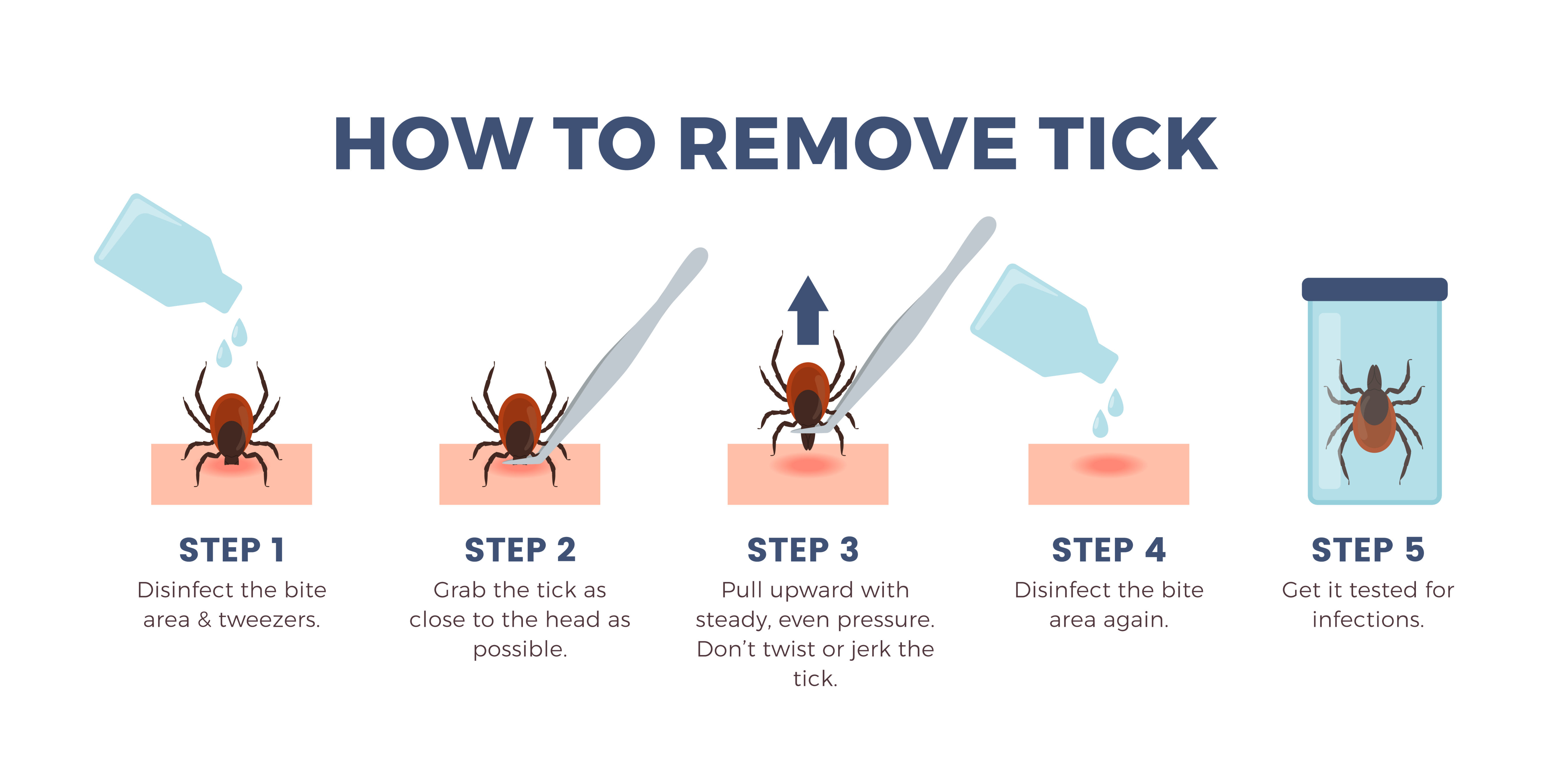 how to remove a tick steps