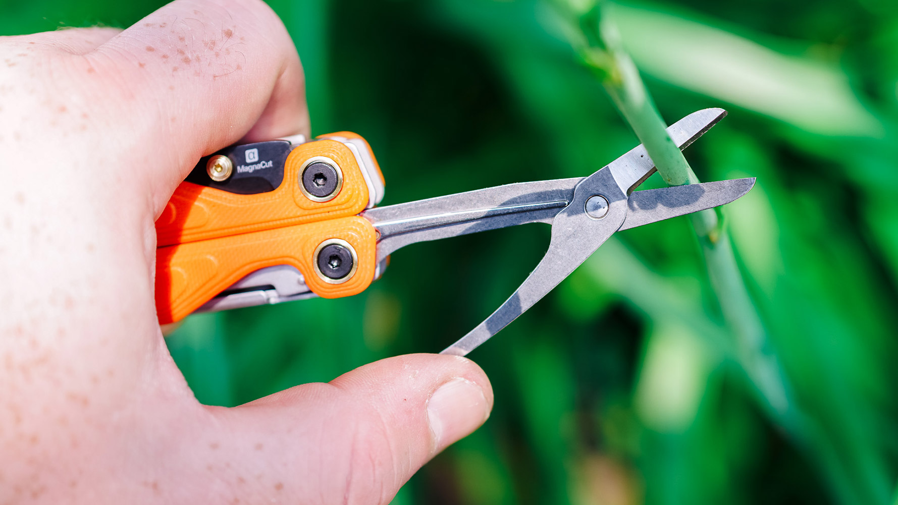 Leatherman Alpha Wave multitool with scissors