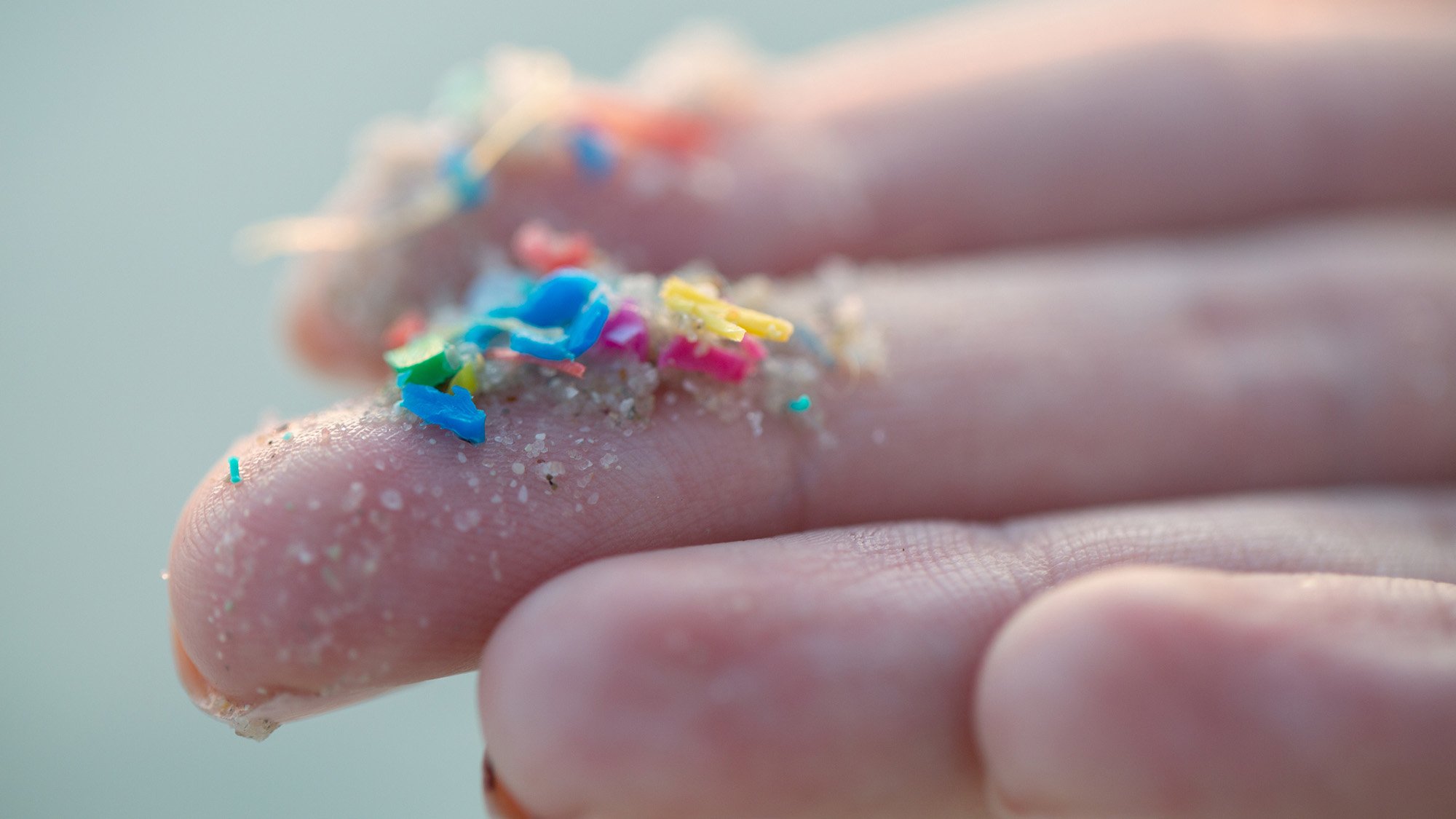Close up of researcher holding small pieces of micro plastics on finger tips.