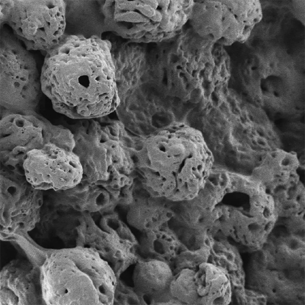 Gelatin sphere Gray, porous blob.