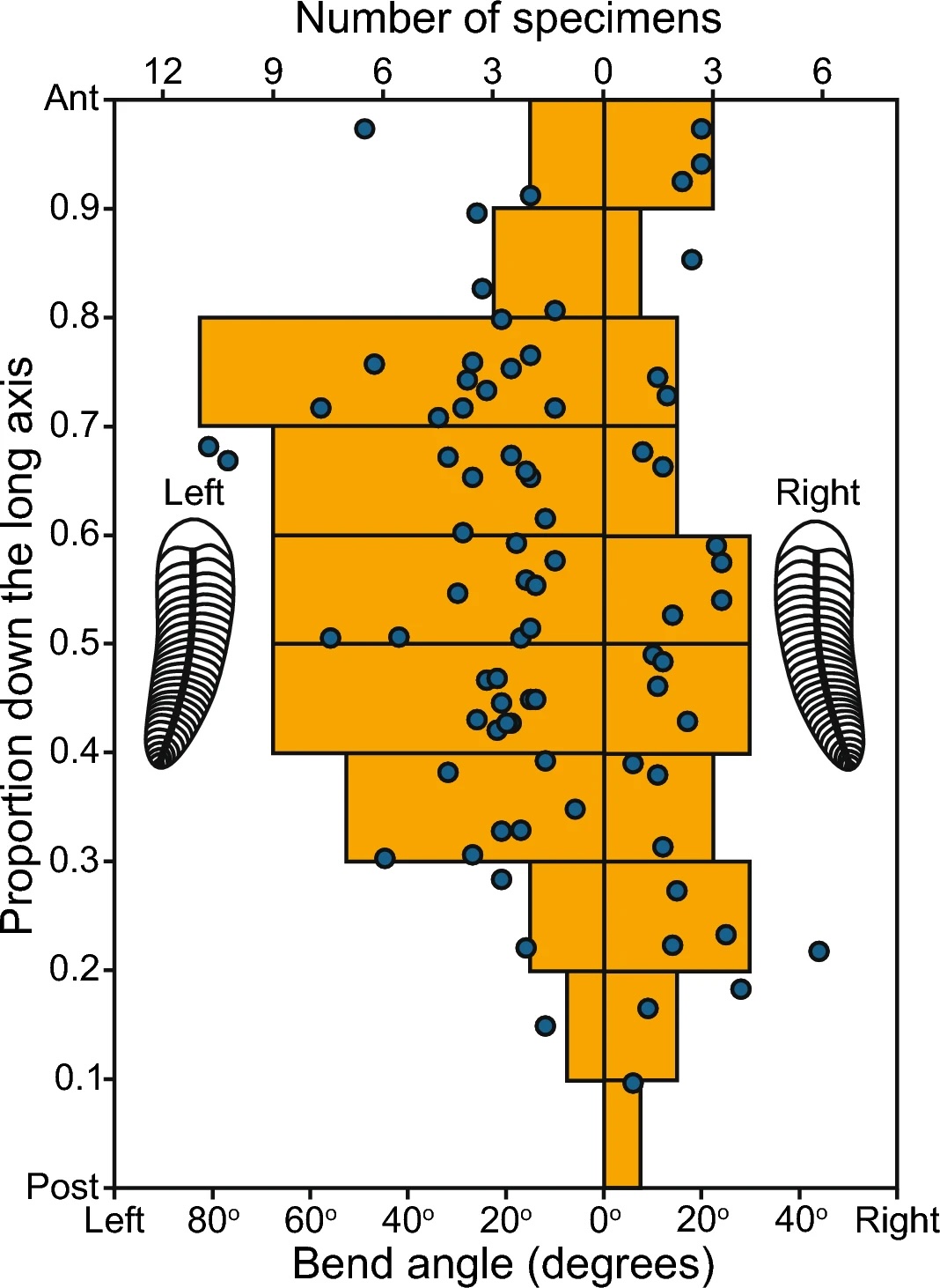 chart of preference