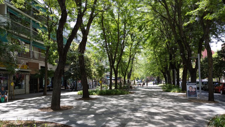 Urban walkway with lots of trees and buildings on either side.