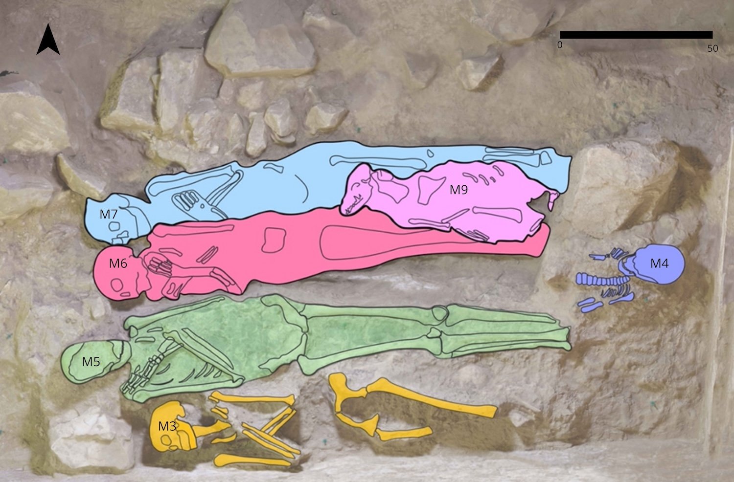 Detail of superposition and spatial relationships between individuals in SC3 (TT 209). The figure shows the relative position of several individuals, highlighting direct vertical contacts and partial overlaps between bodies. M6 and M7 are closely superimposed, with the canid (M9) placed over their lower limbs. Credit: Carballo-Pérez.