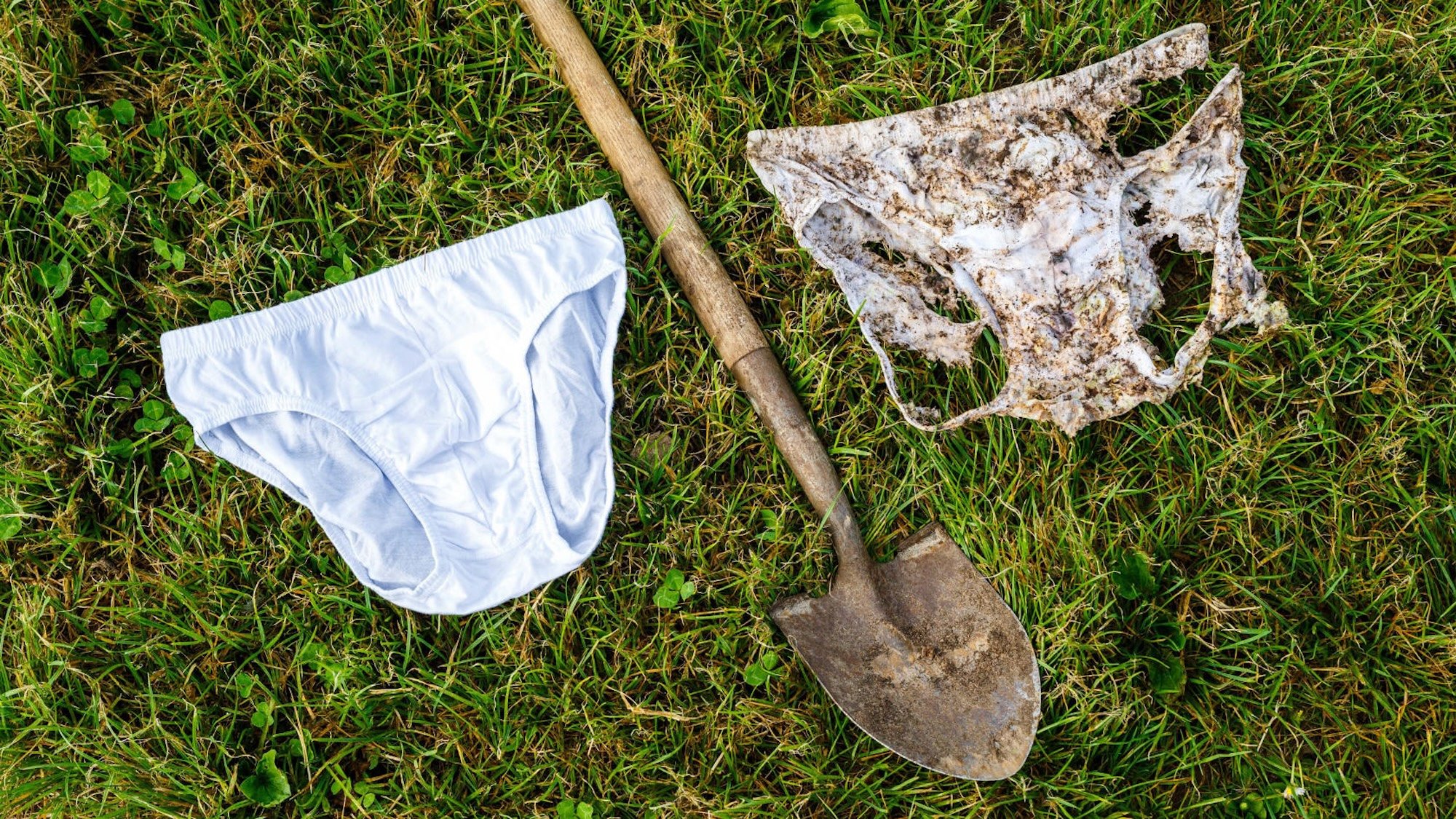 Clean cotton underwear beside a shovel beside decomposing cotton underwear, all on green grass