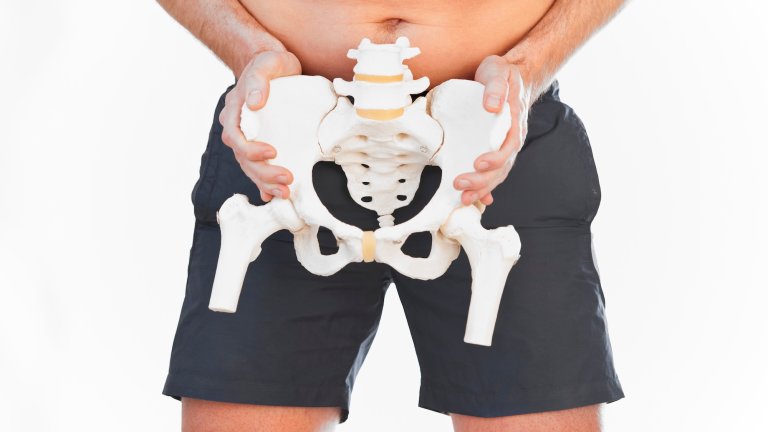 A male person with an artificial model of a human pelvis.