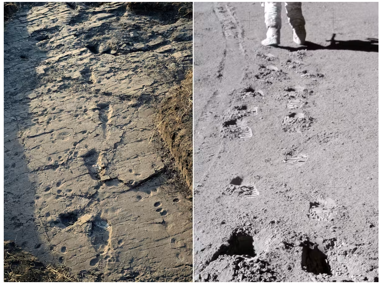 footprints on earth and on the moon